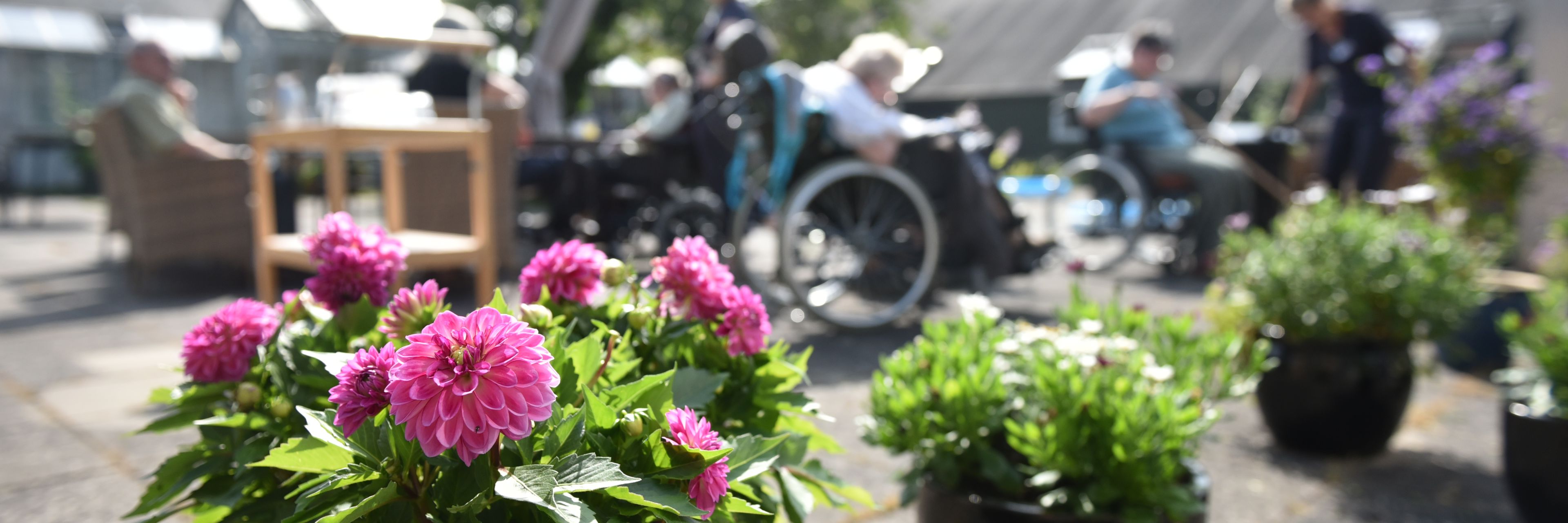 Terrasse med blomsterkrukker hos Dronning Plejecenter