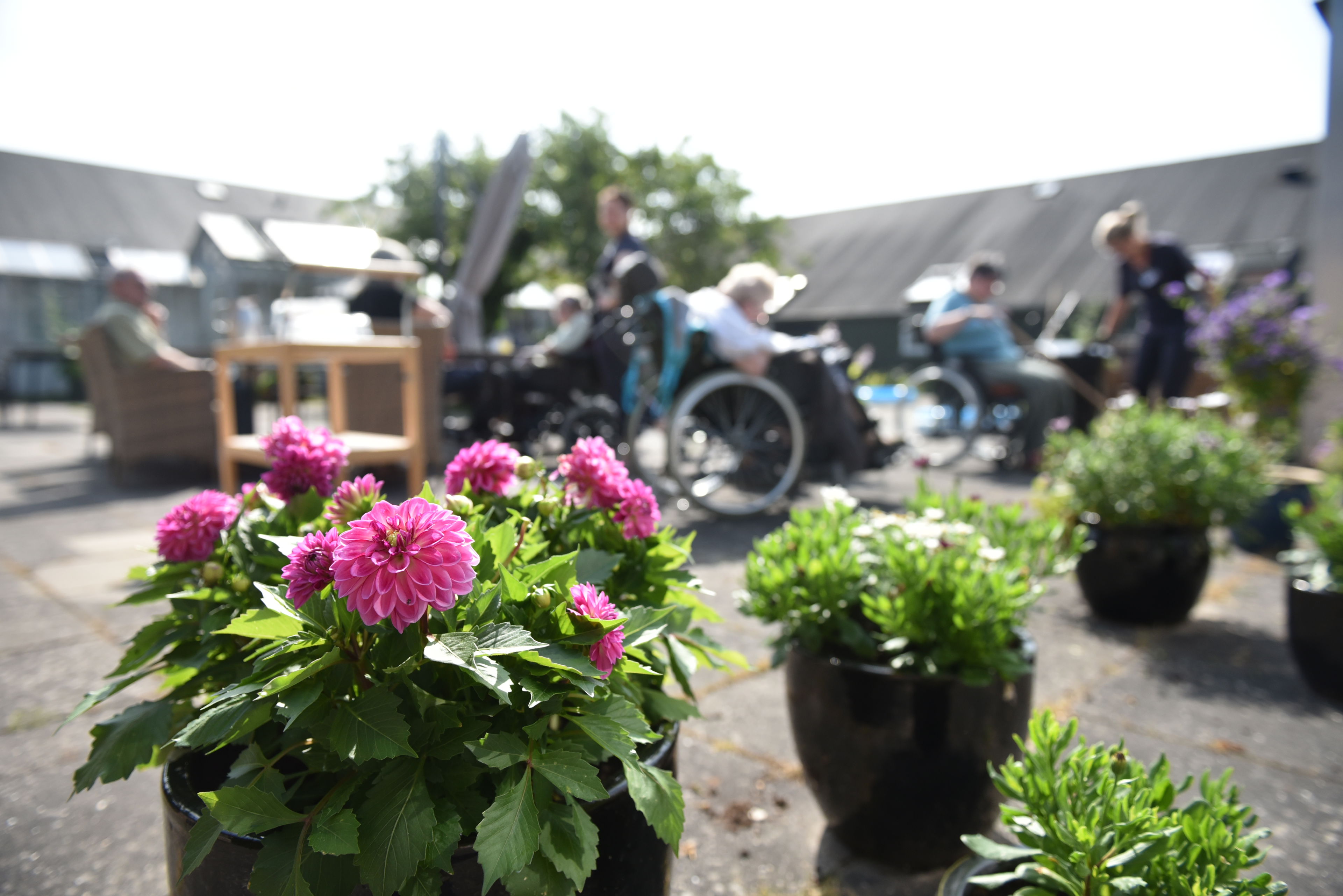 Terrasse med blomsterkrukker hos Dronning Plejecenter