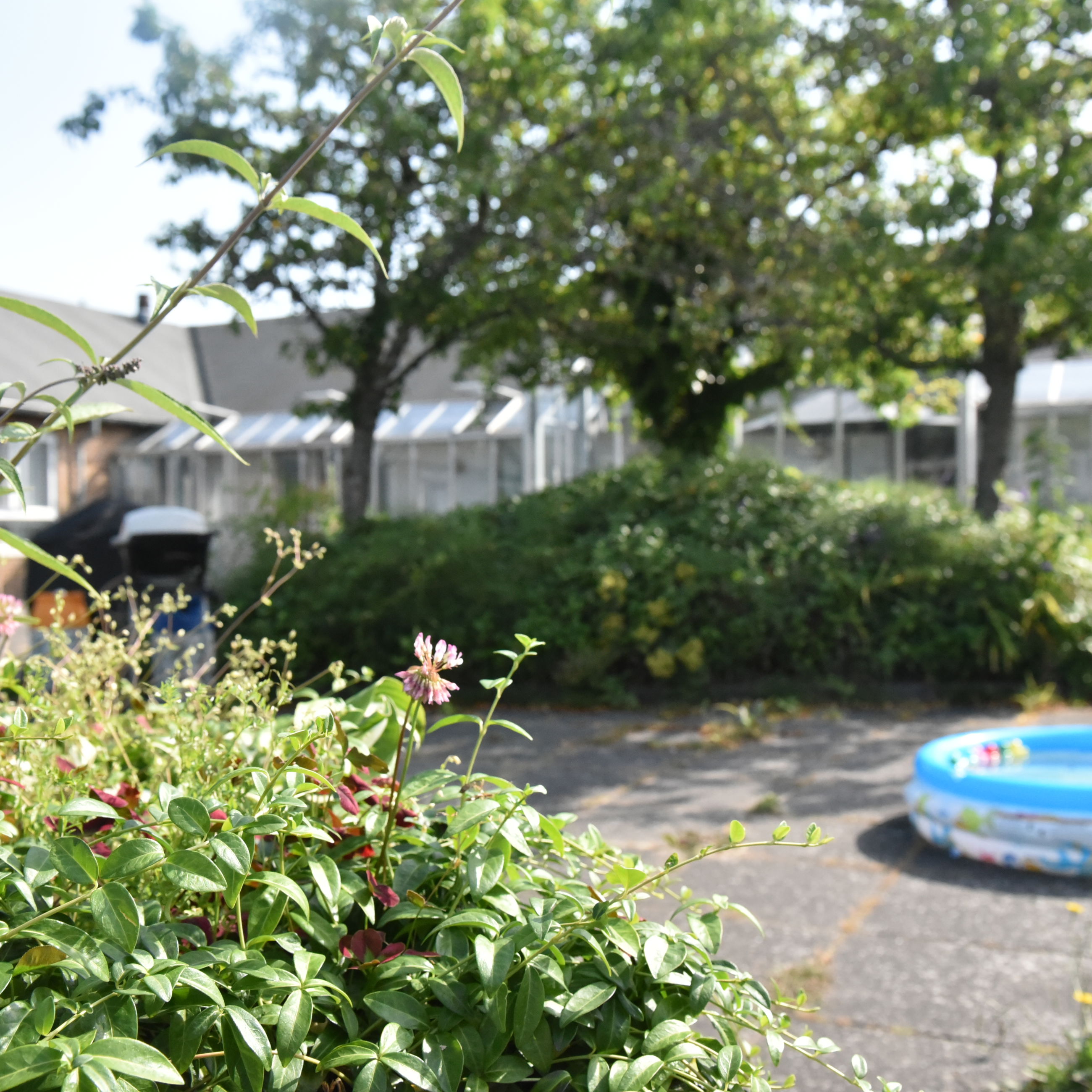 Udeareal hos Dronningborg Plejecenter