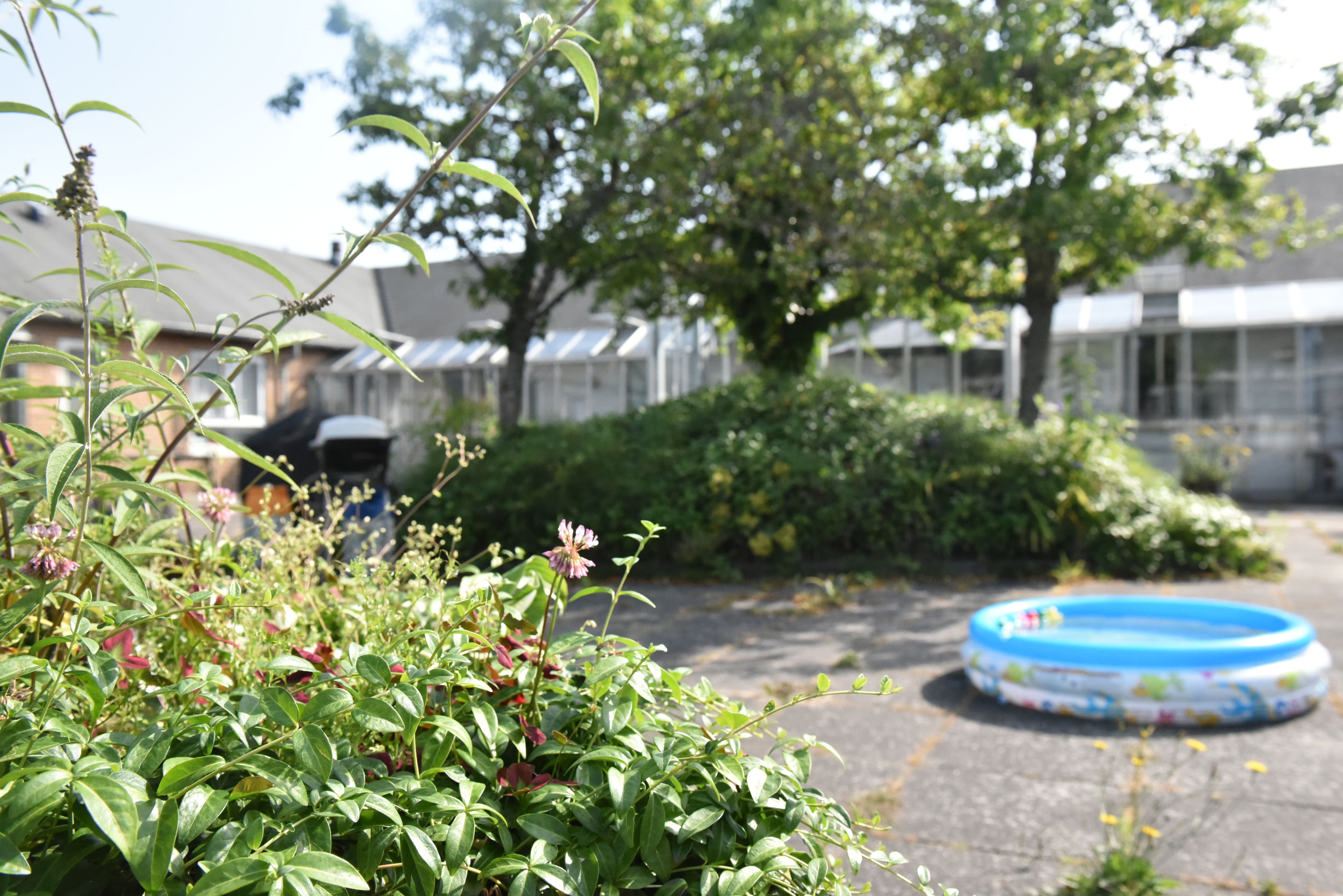 Udeareal hos Dronningborg Plejecenter